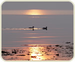 Tramonto sul Delta del Po